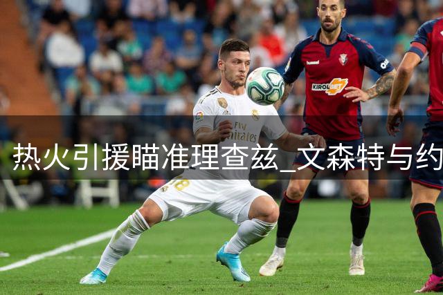 热火引援瞄准理查兹 文森特与约翰逊成备选